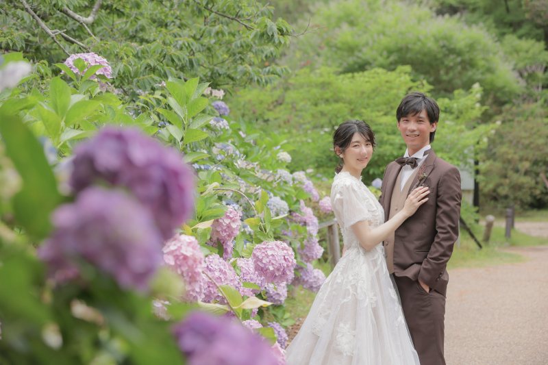 梅雨といえば紫陽花!