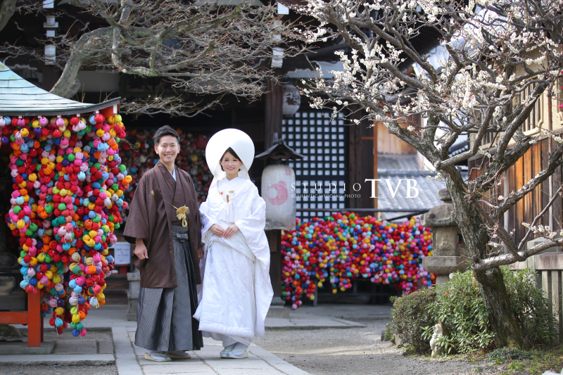 和装によく似合う梅の花と