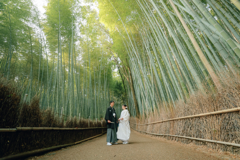 朝の嵐山からスタート！