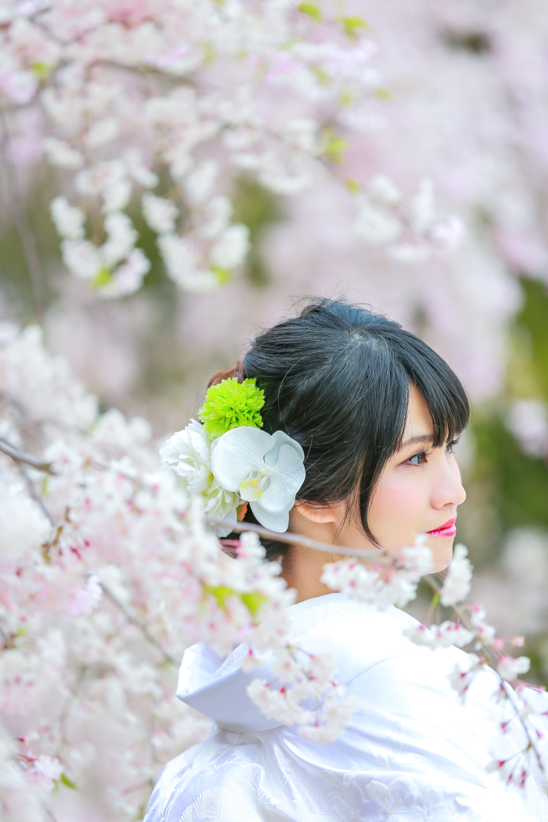 美しい結婚写真。