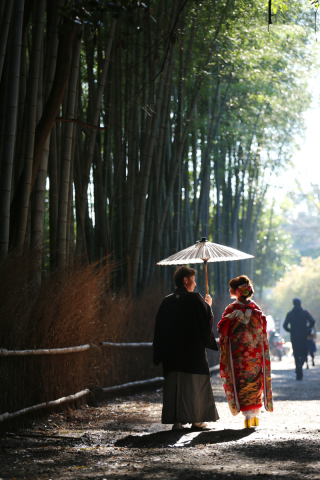嵐山、屋内庭園