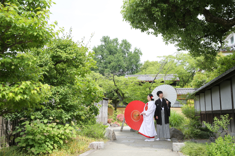 鮮やかな緑に囲まれて