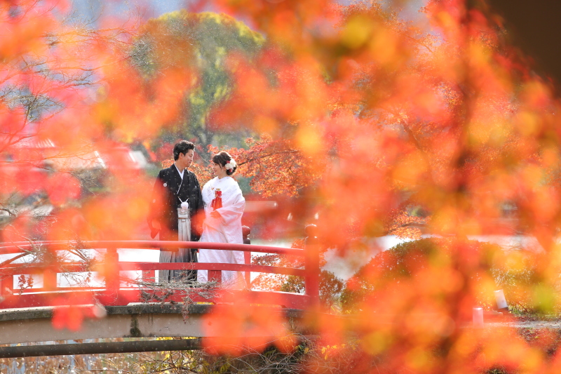 紅葉に囲まれて