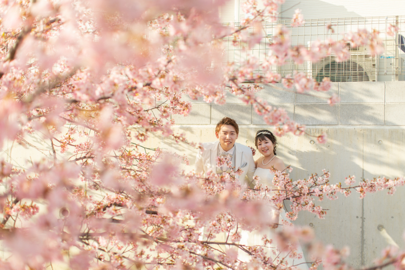 満開の桜にかこまれて。