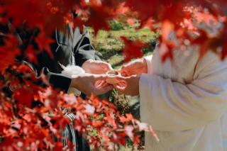 真っ赤に紅葉した「八坂円山」和装ロケーション＾＾