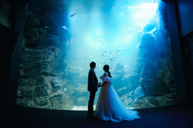 シルエットショット