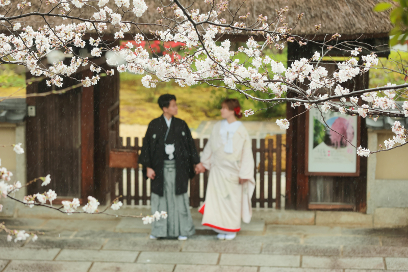 桜✖️雨・・・