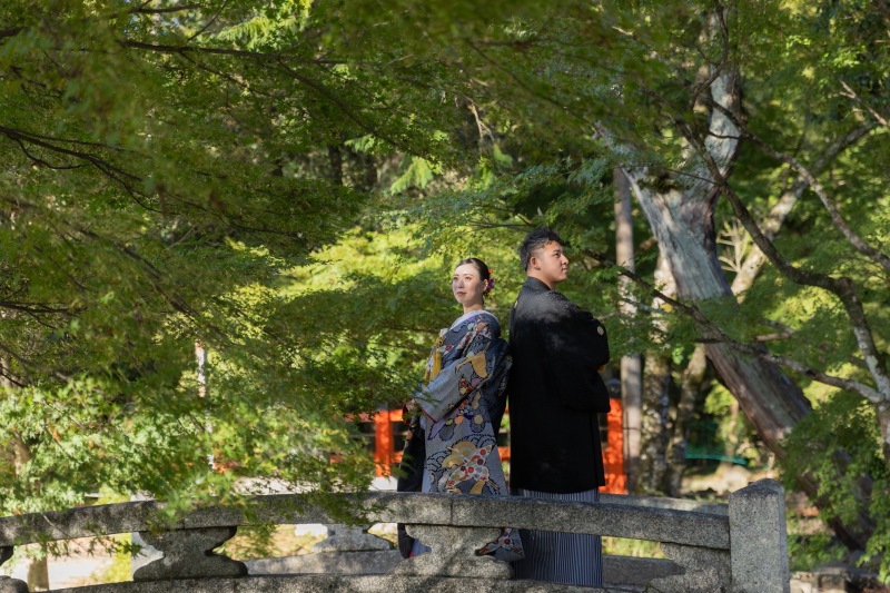 青紅葉が綺麗な場所。