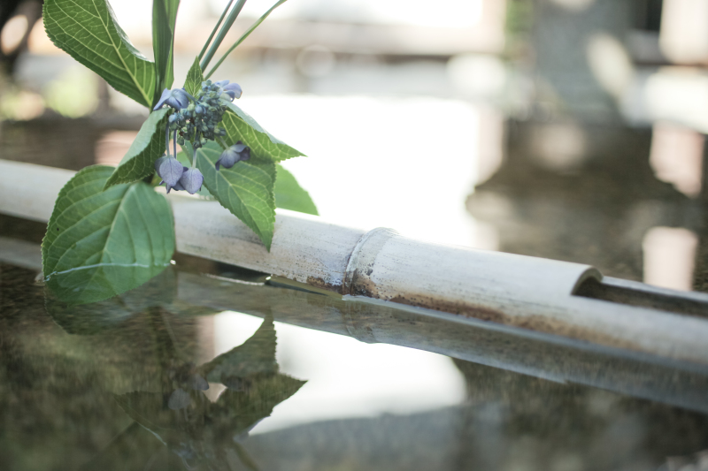 こんな一枚も。