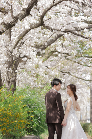 桜満開の鴨川ロケーション♪