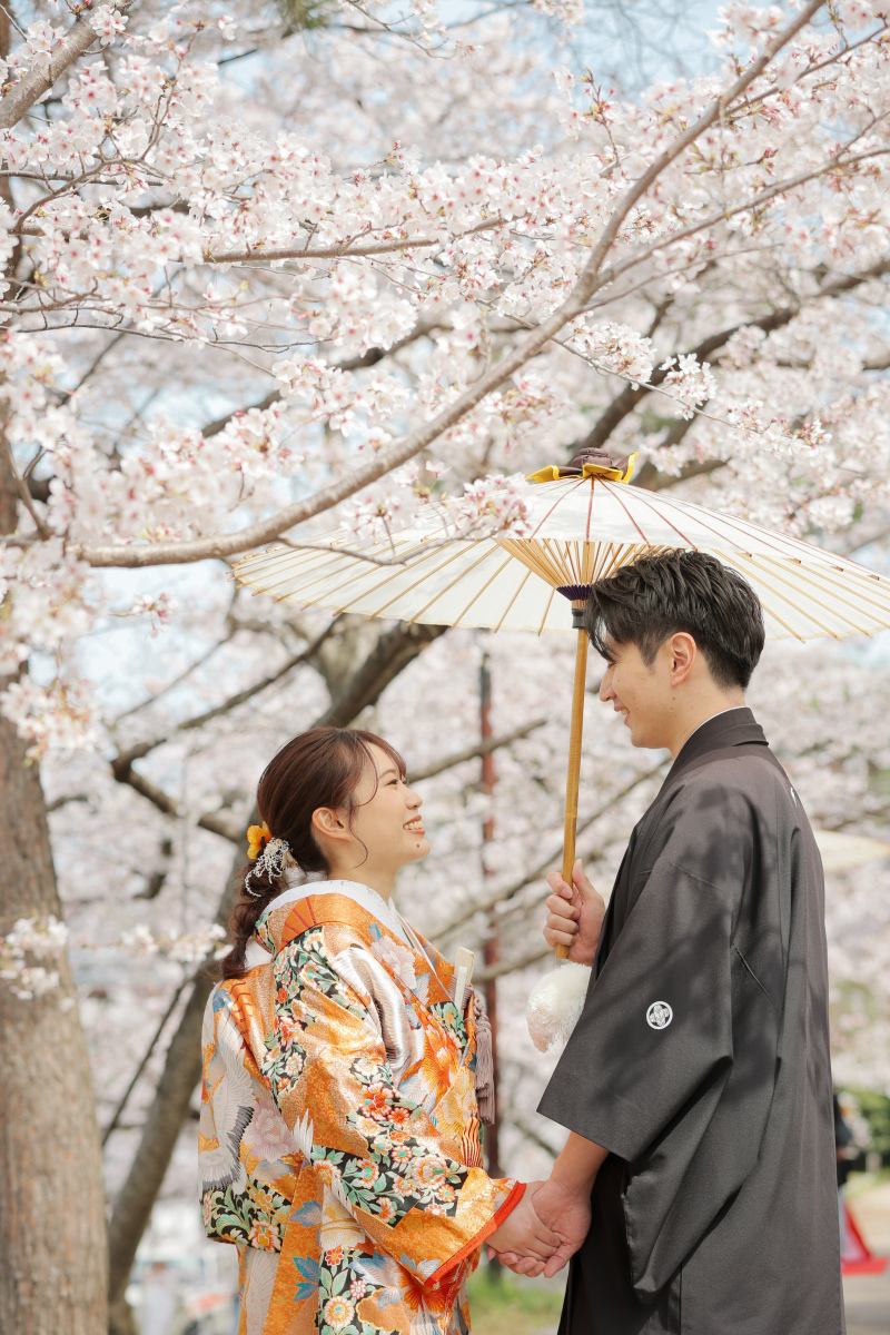 優しい雰囲気の写真に