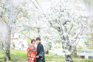 桜満開の和装前撮り！