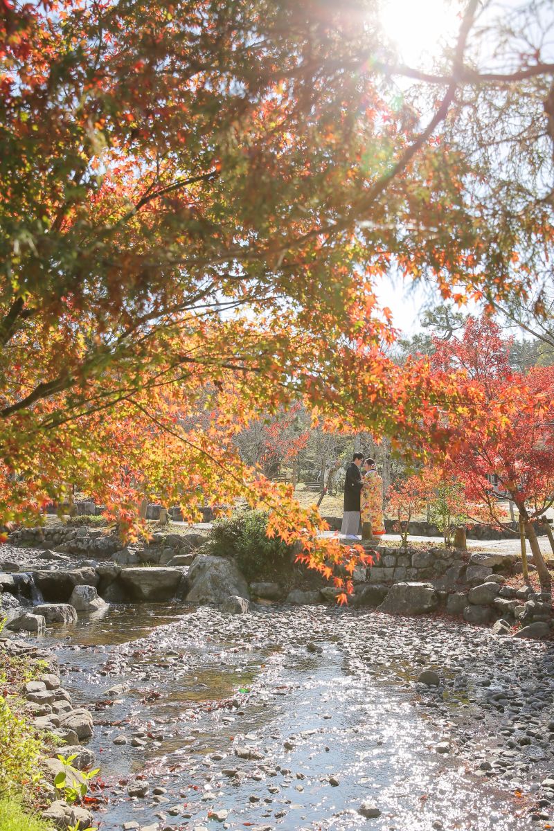 2021年の秋撮影にいかがでしょうか?