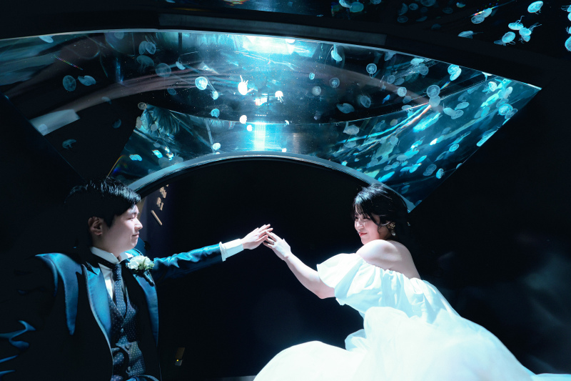 クラゲのトンネル