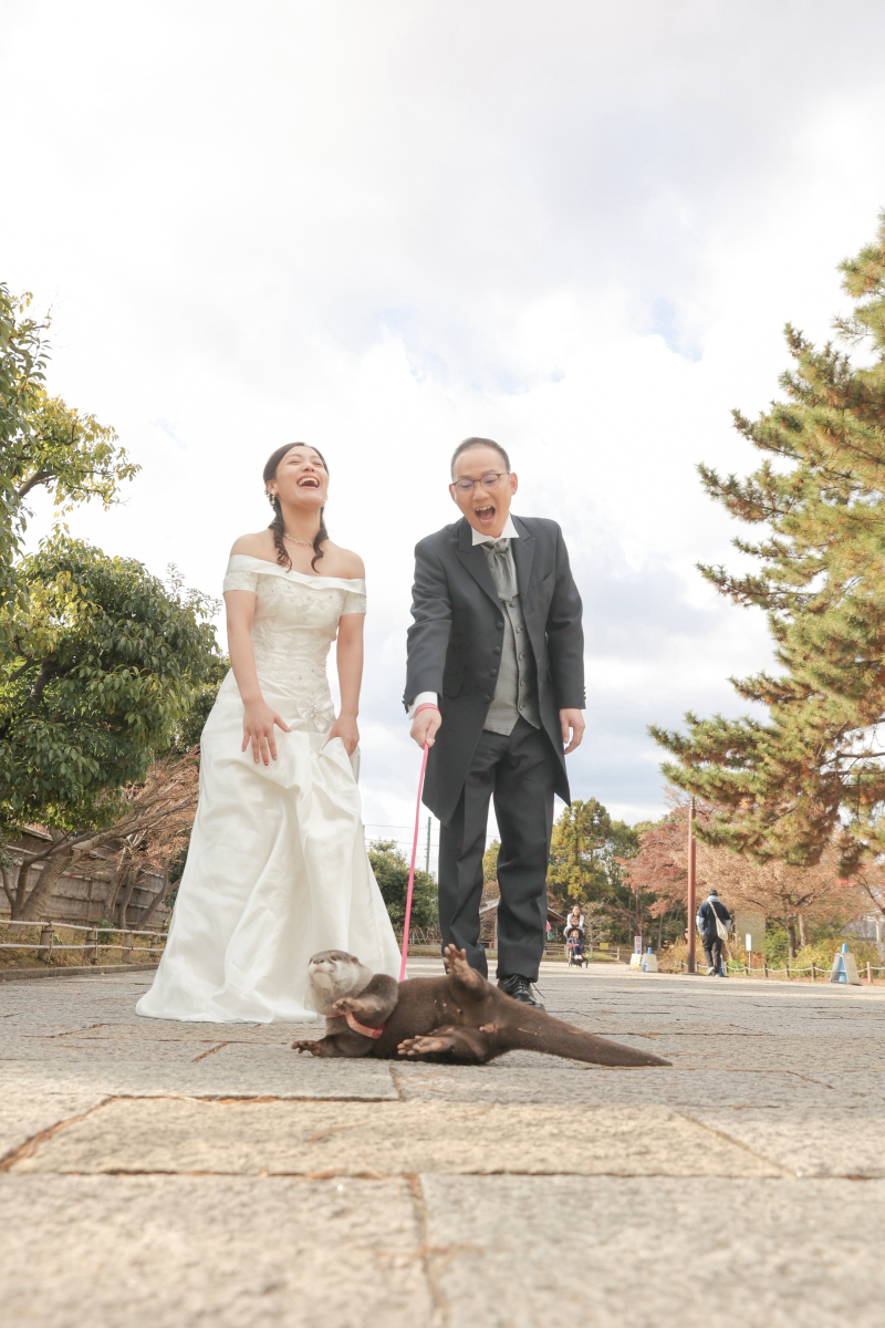 カワウソと一緒に