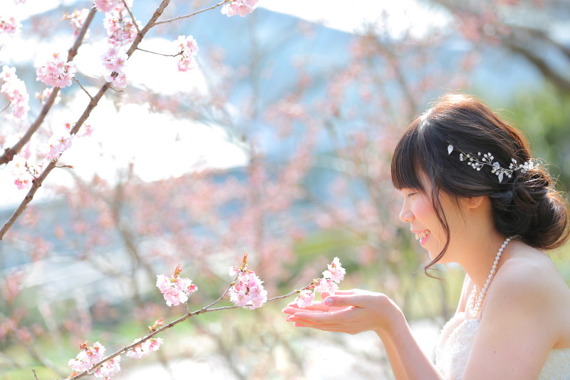 桜の時期の撮影。