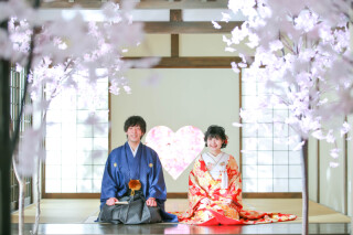 初夏の屋内庭園撮影です@スタジオTVB京都店