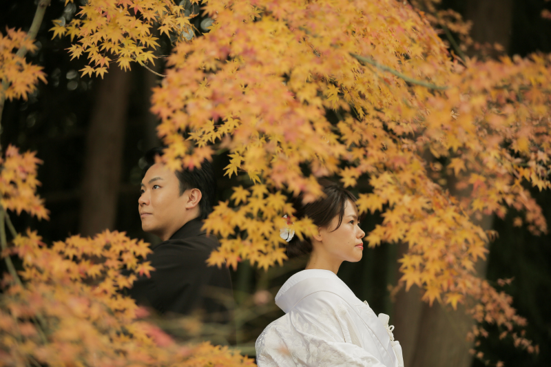  綺麗な紅葉を楽しみながら撮影をしていただけます