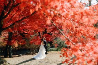 紅葉のフレームに囲まれて