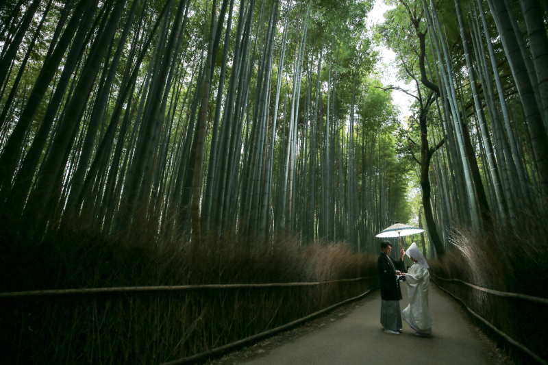 カッコいいロケーション!竹林の小径