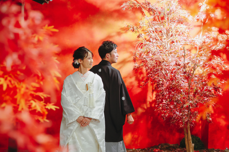 木漏れ日の紅葉の庭。