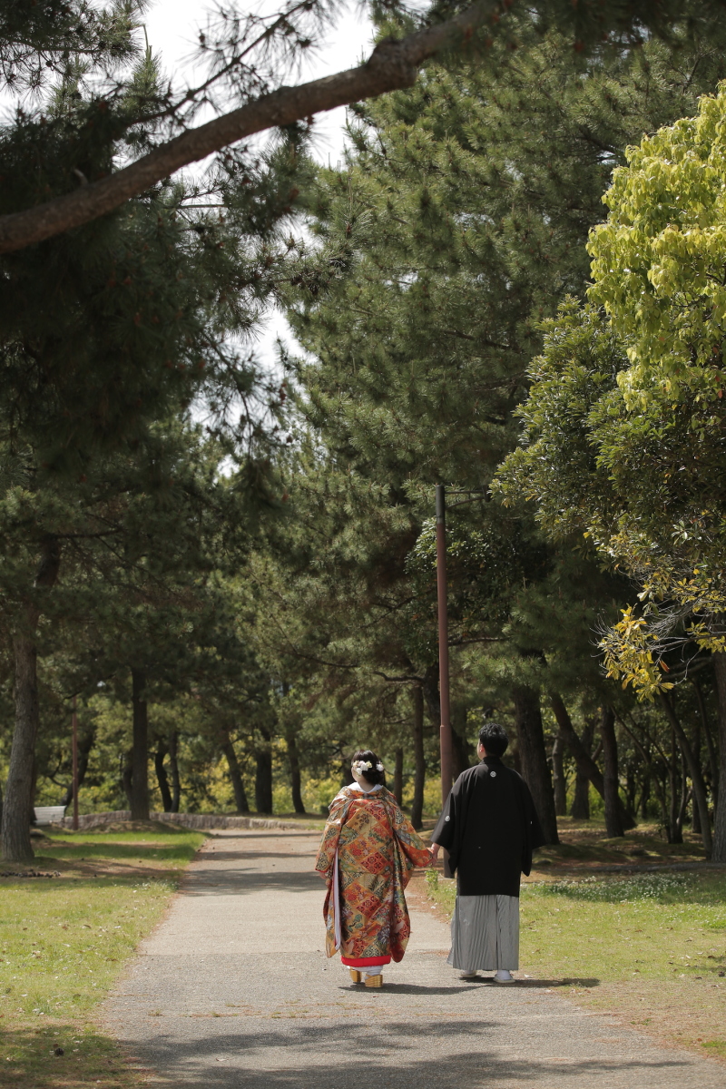 公園内は緑がいっぱい!