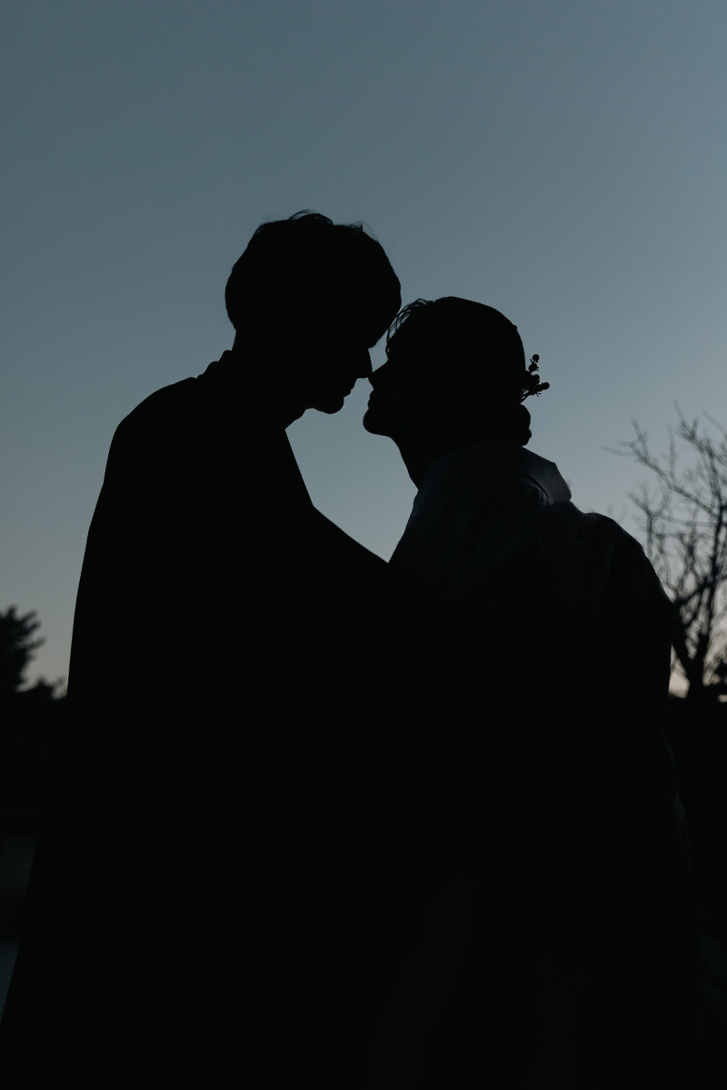 淡い夕焼け空の中