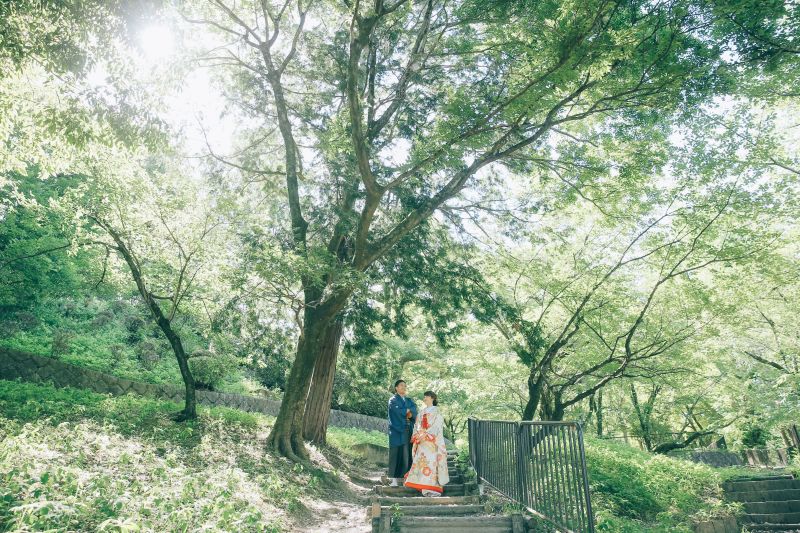 緑がきれい!さわやかな空気に包まれて撮影できます