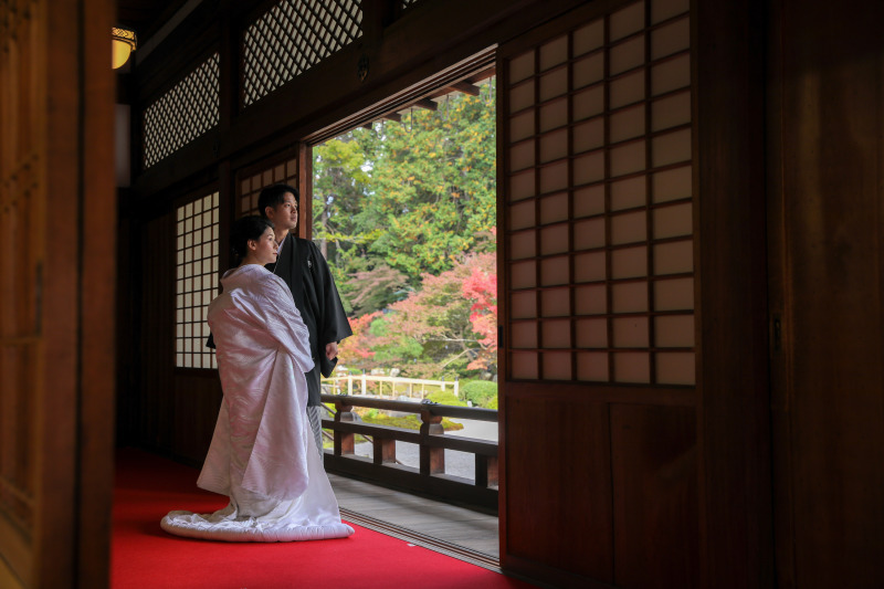 紫雲の庭をながめて