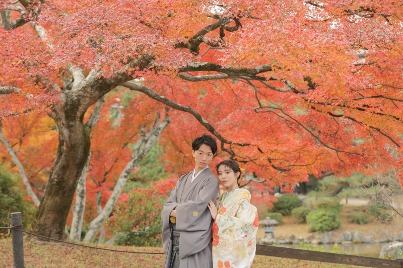 紅葉はちょうど見頃!