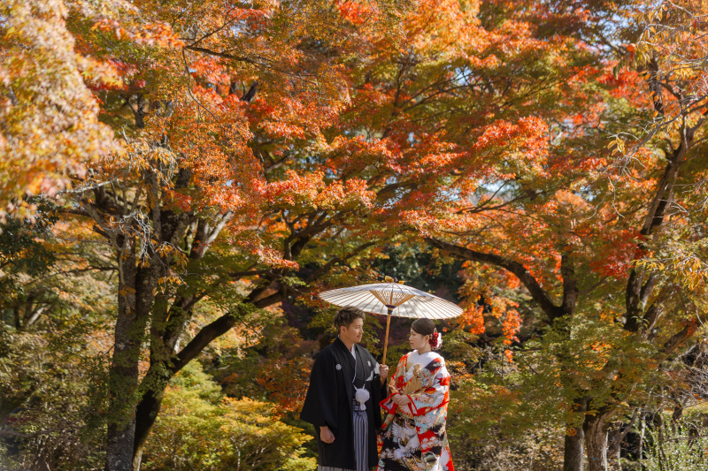 紅葉のピークを迎えた嵐山は自然のキャンバス。