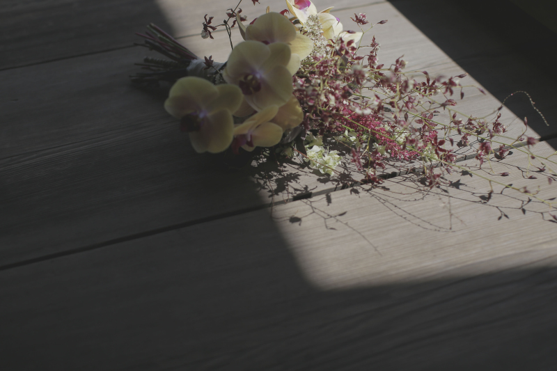 こんなお写真も