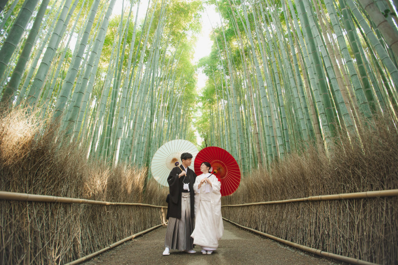 誰もいない竹林？