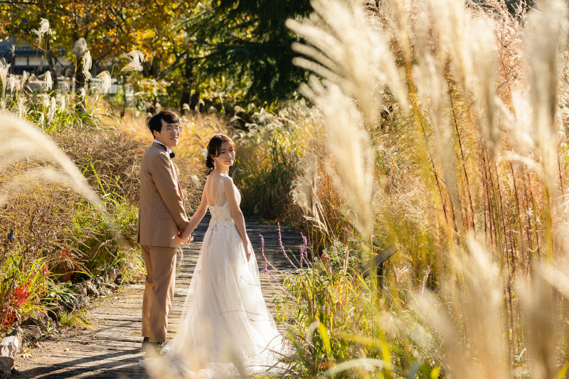 ススキもとても綺麗でした