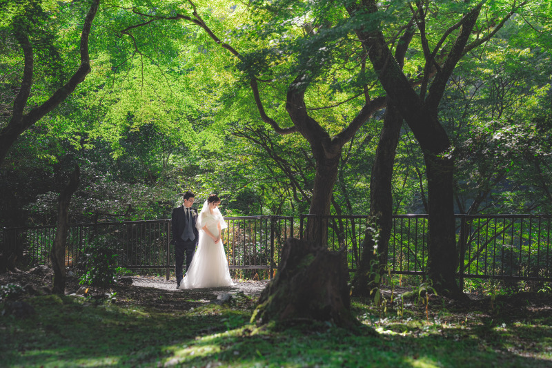 緑の木々を背景に