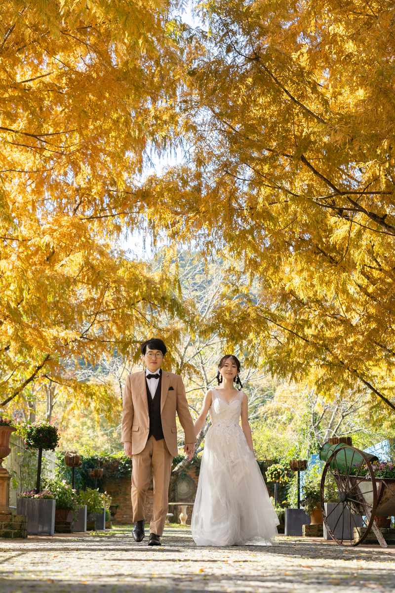 秋らしく色づいた並木道