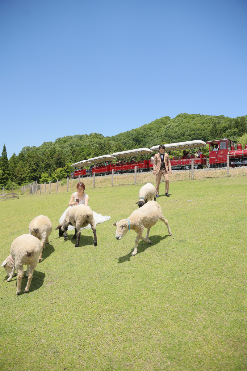 鉄道も走ってます