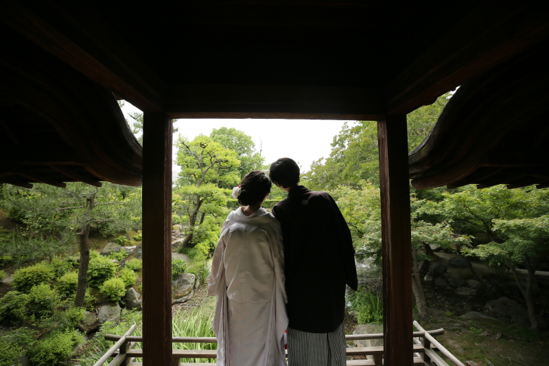 こんなお写真も