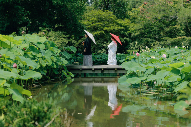 蓮の花たちと一緒に・・・