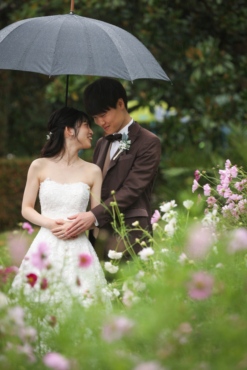 コスモスと一緒に