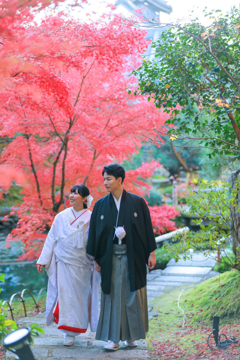 2人仲良くお散歩風景