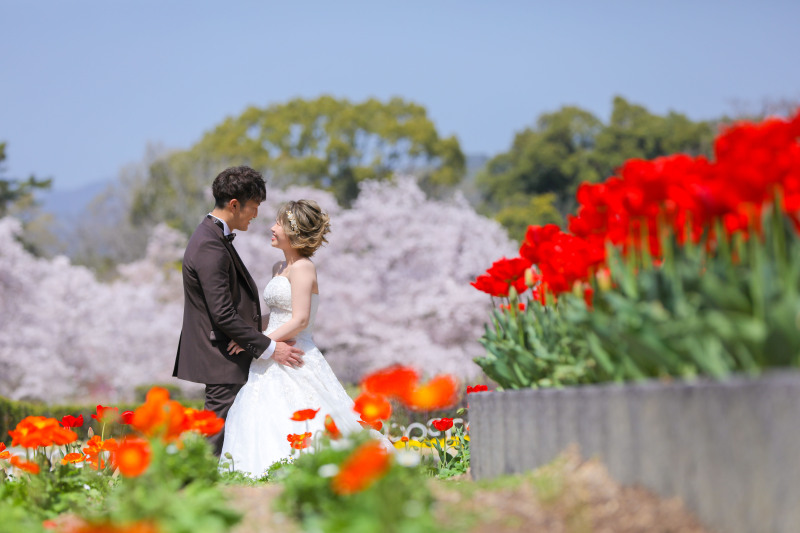 たくさんの花と