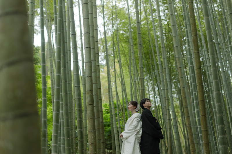 境内にある竹林へ