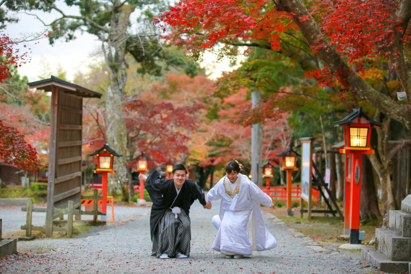 さぁ、飛ぶぞ！