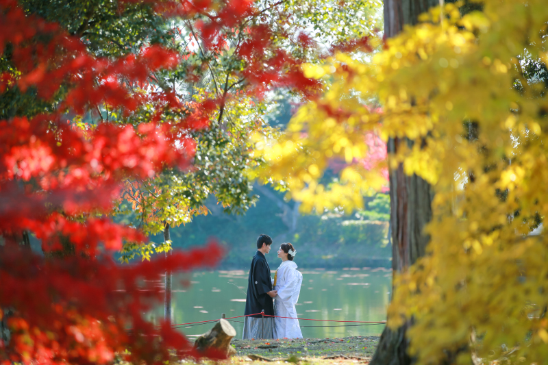 2020秋、撮影レポートPart2