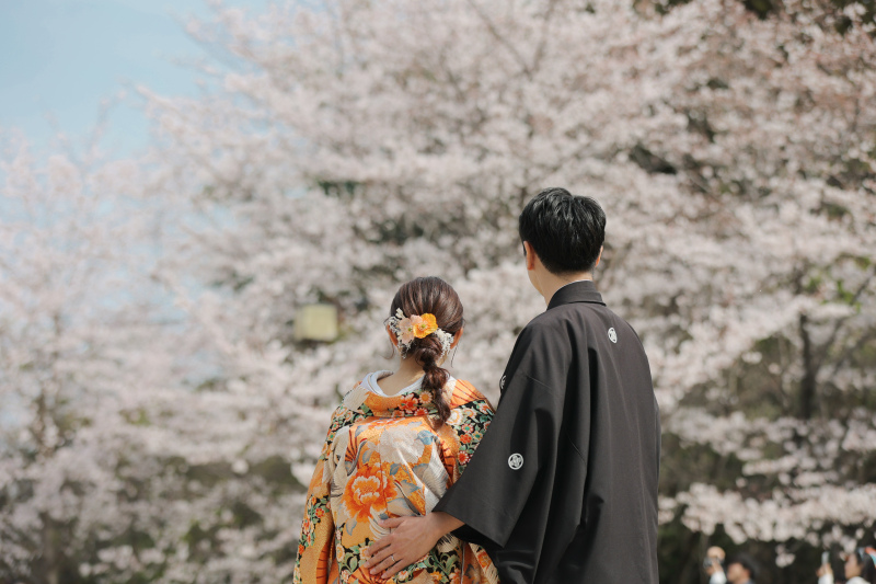 桜シーズンの京都