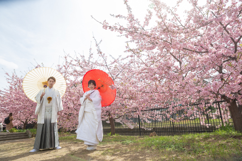 こんなにも満開の桜の下で。