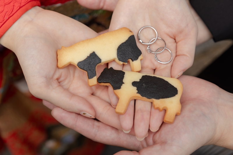 イメージカット