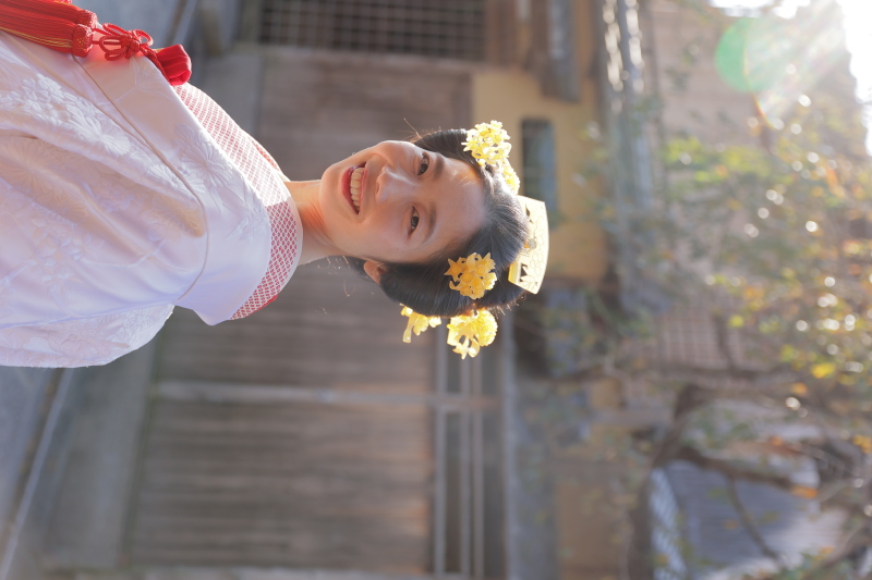 地毛の新日本髪