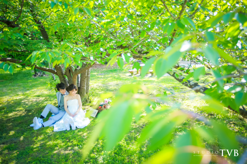 ピクニックのように。